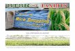 Volume V 25th Issue May - June 2014 25th vol5 May - June 2014.pdf · Volume V 25th Issue May - June 2014 1 The first article on rice smuggling was published in the STSRO Taxbits,