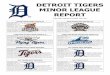 DETROIT TIGERS MINOR LEAGUE REPORT - MLB.comwashington.nationals.mlb.com/documents/4/9/6/245160496/... · 2017-08-07 · 2x4, with two doubles, two RBI and two runs scored. Drew Longley