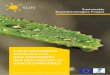 Sustainable Nanotechnologies Project A New Integrated Approach for Risk Assessment … · 2017-05-03 · 4 Sustainable Nanotechnologies Project A New Integrated Approach for Risk