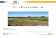 Soil Degradation - UGentaverdood/Cursus Land Degradation...Soil Degradation Ann Verdoodt Academic Year 2011-2012 Compilation of course notes by Prof. Donald Gabriëls and new materials