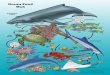 Ocean Food Web - The Exploring Nature Educational …Ocean Food Web clownfish & anemone pufferfish octopus ©Sheri Amsel jellyfish fish humpback whale blue shark stingray dolphin sea