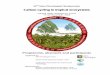 Carbon cycling in tropical ecosystems - New Phytologist Trust · ‘Carbon cycling in tropical ecosystems’ illustration by A.P.P.S., Lancaster, U.K. 1 . ... the line of the northern