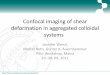 Confocal imaging of shear deformation in aggregated colloidal systems · 2012-03-05 · Max Planck Institute for Polymer Research Confocal imaging of shear deformation in aggregated