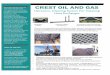 CREST OIL AND GAS · Ultrasonic Cleaning System For Cleaning Heat Exchanger Cavita on Thickness Mode Perspec ve View of Cleaning Bubble Transducers Tank with Transducers Installed