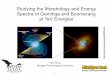 Studying the Morphology and Energy Spectra of Geminga and Boomerang at TeV … · 2013-06-20 · Studying the Morphology and Energy Spectra of Geminga and Boomerang at TeV Energies