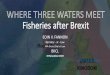 Fisheries after Brexit...The Fisheries Limits Order; S.I. No 1750 of 1997 “The United Kingdom’ s fishery limits will need to be redefined based on St Kilda, since Rockall is not