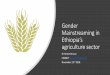 Gender Mainstreaming in Ethiopia’s agriculture sector...Gender mainstreaming is a national agenda Proclamation (No. 916/2015) directs GoE ministries to address women’s and youth
