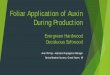 Foliar Application of Auxin During Productionadmin.ipps.org/uploads/15_Phillips.pdfFoliar Application of Auxin During Production Evergreen Hardwood Deciduous Softwood Aren Phillips