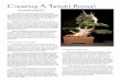 Creating A Tanuki Bonsai · 2018-03-19 · It is not our purpose here to offer a solution to such a debate, but rather to simply present the mechanics and techniques for creating