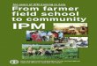 IPM FAO REGIONAL OFFICE FOR ASIA AND THE PACIFIC · 2019-06-20 · FAO REGIONAL OFFICE FOR ASIA AND THE PACIFIC 39 Phra Atit Road Bangkok 10200, Thailand Ten years of IPM training