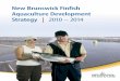 New Brunswick Finfish Aquaculture Development · 2018-09-02 · strategic areas for investment (financial and/or human resources) in the New Brunswick marine and freshwater finfish