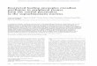 Restricted feeding uncouples circadian oscillators in ...genesdev.cshlp.org/content/14/23/2950.full.pdf · Restricted feeding uncouples circadian oscillators in peripheral tissues