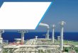 Major LNG projects: Navigating the new terrain · 2019-12-16 · They align engineering, procurement and construction (EPC) and supplier interests and vest them in the project’s