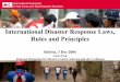 International Disaster Response Laws, Rules and Principles · Coordination, quality and accountability • Lack of respect for domestic disaster management structures & laws • Sending