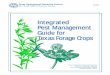 Integrated Pest Management Guide for Texas Forage Cropslubbock.tamu.edu/files/2011/10/ipmforage_12.pdf · 2016-12-21 · Texas Agricultural Extension Service B-1401 The Texas A&M
