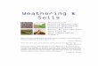 Weathering & Soils - Kean Universitycsmart/Observing/11. Weathering and...Weathering can be subdivided into two types: physical and chemical, and these are described in the first sections
