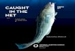 KIT IN THE NET - Accueil · IN THE NET 7 OCT. 2015 26 JUNE 2016. A fascinating exhibition, full of fabulous stories and pictures! The exhibition tells the story of deep-sea cod fishing