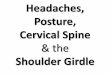 Headaches, Posture, Cervical Spine - Headaches, Posture, C... · 2016-10-24 · Some Consequences: - I would like to suggest, for our purposes, that there are five major areas where