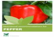 Nutritional recommendations for - Haifa Group · Synonyms: Capsicum, bell-pepper, paprika, piment, pimiento, pepperoni, ... Therefore a drip system equipped with a Nutrigation™