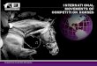INTERNATIONAL MOVEMENTS OF COMPETITION HORSES · INTERNATIONAL MOVEMENTS OF COMPETITION HORSES . FEI Sports Forum, 8-9 April 2013, IMD Lausanne Overview ... *British Horse Industry
