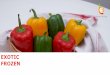 EXOTIC FROZEN · िशमला िमच C p i n u Gr Peppers are contract grown in greenhouses to ensure optimal growth, frozen as either juliennes, dices or chunks. Add colour