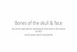 Bones of the skull & face...Bones of the skull & face You will be responsible for identifying all of the bones in the cranium and face Use this power point to help identify