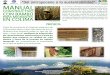 MANUAL - Universidad de Colima · MANUAL CONSTRUCTIVO CON BAMBÚ PARA MIGRANTES EN COLIMA En el campo colimense la producción del pepino pre-senta una gran problematica, no respeta