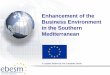 Enhancement of the Business Environment in the Southern ... Seminar II/Key findings of the Mapping...Enhancement of the Business Environment in the Southern Mediterranean A project
