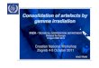 Consolidation of artefacts by ggamma irradiationamma ... · Consolidation of artefacts by ggamma irradiationamma irradiation IAEA-TECHNICAL COOPERATION DEPARTMENT Division for Europe