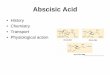 Abscisic Acid - Western Oregon Universitywou.edu/~guralnl/gural/330Abscisic Acid.pdf · 2004-03-04 · Abscisic Acid •History •Chemistry • Transport • Physiological action