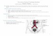 Excretory System-Training Handout - Science Olympiad1 Excretory System-Training Handout Karen L. Lancour National Rules Committee Chairman – Life Science Excretion -Excretion is