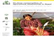 On-farm conservation of agricultural biodiversity in …...Deepa Singh and Durga M.S. Dangol Revealing hidden knowledge on taro (Colocasia and Xanthosoma) species in Nepal 148 Deepak
