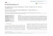 Traditional and Modern Cell Culture in Virus Diagnosispriede.bf.lu.lv/grozs/Mikrobiologijas/Virusol/Apskati... · 2016-08-17 · -REVIEW ARTICLE-Traditional and Modern Cell Culture