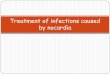Treatment of infections caused by nocardia infection.pdf · All of the Nocardia species are described to be susceptible to linezolid [6,16,17]. linezolid > 2weeks is associated with