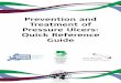 Prevention and Treatment of Pressure Ulcers: Quick ... · Advisory Panel (NPUAP), European Pressure Ulcer Advisory Panel (EPUAP) and Pan Pacific Pressure Injury Alliance (PPPIA) collaborated