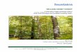 William Henry Forest - Fountains Land Inc. Henry Forest... · The uneven management strategy has resulted in a healthy hardwood forest where trees and wildlife both thrive. Fountains