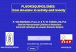 FLUOROQUINOLONES: from structure to activity and toxicity Symposium... · 2017-05-11 · Rare side effects of fluoroquinolones: cardiac toxicity Torsade de pointes: paroxysm of ventricular