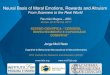 Neural Basis of Moral Emotions, Rewards and Altruism · Jorge Moll Neto Cognitive & Behavioral Neuroscience & Neuroinformatics D’Or Institute for Research and Education (IDOR) Neural