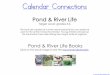 Calendar Connections - 1+1+1=1 · 2013-12-28 · Calendar Connections Pond & River Life Target Level: grades 3-6 The facts are created at a more advanced level but can easily be used