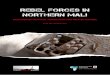 REBEL FORCES IN NORTHERN MALI - Small Arms 2013-04-19آ  Conflict Armament Research/Small Arms Survey