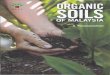 passparam.compassparam.com/wp-content/uploads/2018/07/Organic-Soils...Preface Peat soils have high carbon stocks and in their natural conditions, they often have high water tables