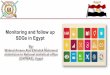 Monitoring and follow up SDGs in Egypt Egypt.pdf · q Egypt’s Vision 2030 (SDS )was launched during the “Youth Year”, on February 24, 2016, is comprehensive and multidimensional,