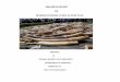 PROGRESS REPORT ON NIGERIA NATIONAL IVORY ACTION PLAN · progress report on nigeria national ivory action plan prepared by federal ministry of environment (department of forestry)