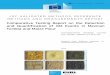 European Union Reference Laboratory for GM Food & Feed - …gmo-crl.jrc.ec.europa.eu/CTdocs/EURL-GMFF-CT-01-16 Report... · 2016-08-29 · European Union Reference Laboratory for