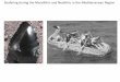 Seafaring during the Mesolithic and Neolithic in the ... · Seafaring during the Mesolithic and Neolithic in the Mediterranean Region 1) What does Mesolithic mean in prehistoric archaeology?