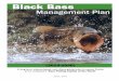 Black Bass Management Plan 2010-2030Black Bass Management Plan Black Bass Management Plan (2010-2030) A long-term, science-based, and citizen-guided plan to ensure Florida is the undisputed