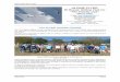 ALPINE FLYER Mt Beauty Gliding Club Inc The …...Alpine Flyer March 2015 Alpine Flyer Page 3 MBGC President’s Report workshop and over the last month I’ve It has been a very busy
