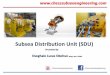 Subsea Distribution Unit (SDU) · A subsea distribution system (SDS) consists of a group of products such as umbilical and other in-line structures that provide communication from