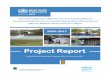 Project Report - World Health Organization · Project Report By World Health Organization, Regional Office for Africa, July 2017 . ... COMBI Communication for behavioural impact 