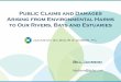 Public Claims and Damages Arising from Environmental Harms … Law... · 2014-09-05 · Public Claims and Damages . Arising from Environmental Harms . to Our Rivers, Bays and Estuaries